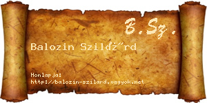 Balozin Szilárd névjegykártya